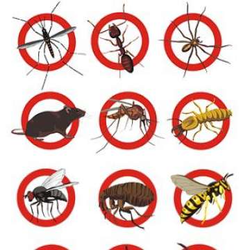 Combat Controle de Pragas - Lisboa - cockroach removal