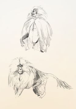 Pedro Leão - Alcobaça - Drawing, Painting and Sculpture classes