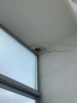Roof Installation Professional