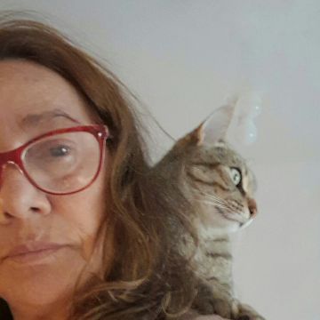 Sonia Ribeiro - Cascais - Sessões de Fisioterapia