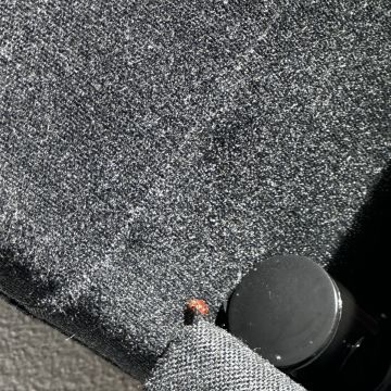 PRAGIS CONTROL - CONTROLO DE PRAGAS URBANAS - Almada - Nettoyage de propriété