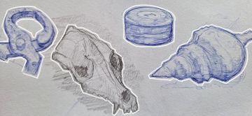 Pedro Leão - Alcobaça - Illustrating