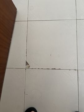 Manitas - Hogar