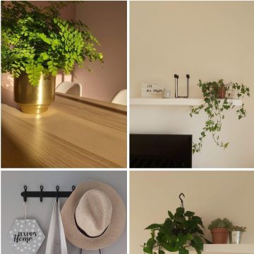 Little Design Studio - Santa Maria da Feira - Lights Project