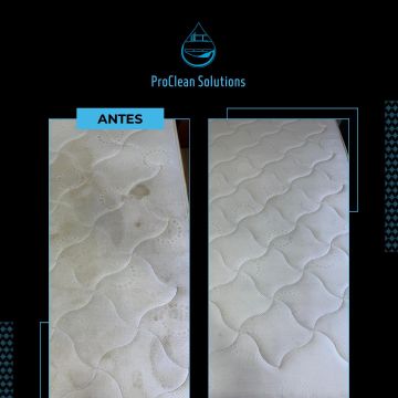 ProClean Solutions - Vila Real - Deep or Spring Cleaning