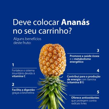 Inês Agostinho - Mafra - Consultoria de Estratégia de Marketing