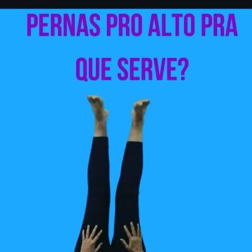 Sonia Ribeiro - Cascais - Pet Sitting