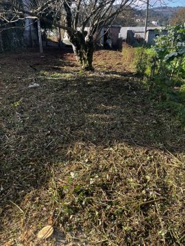 Filipe Vieira Jardim & Bricolage - Penafiel - Multi Service Lawn Care