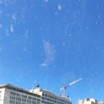 Lucas Torres - Seixal - Construção de Parede Interior