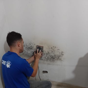 Moraes - Guarda - Carpet Installation