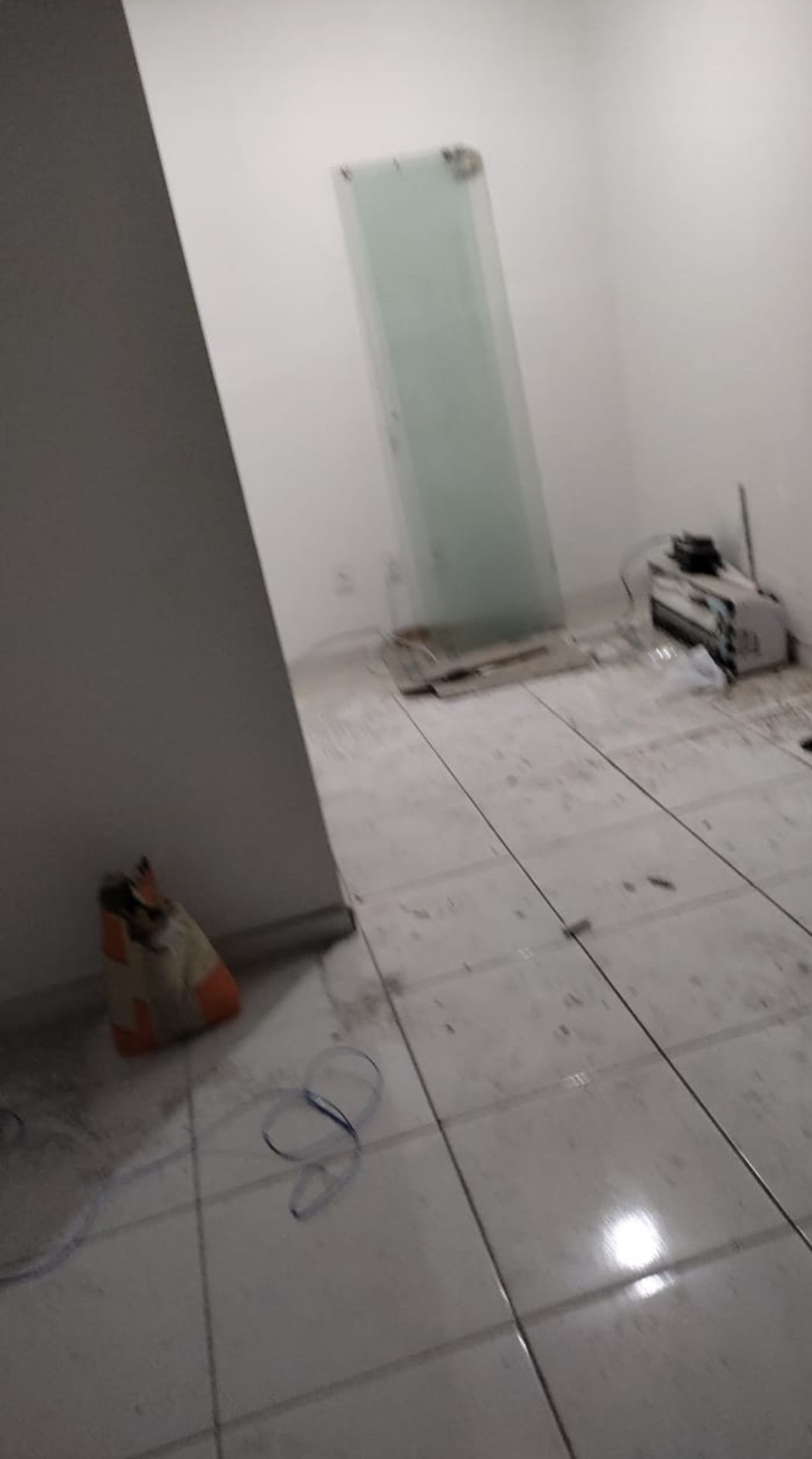 LR Prestação de serviços - Caldas da Rainha - Limpeza da Casa (Recorrente)