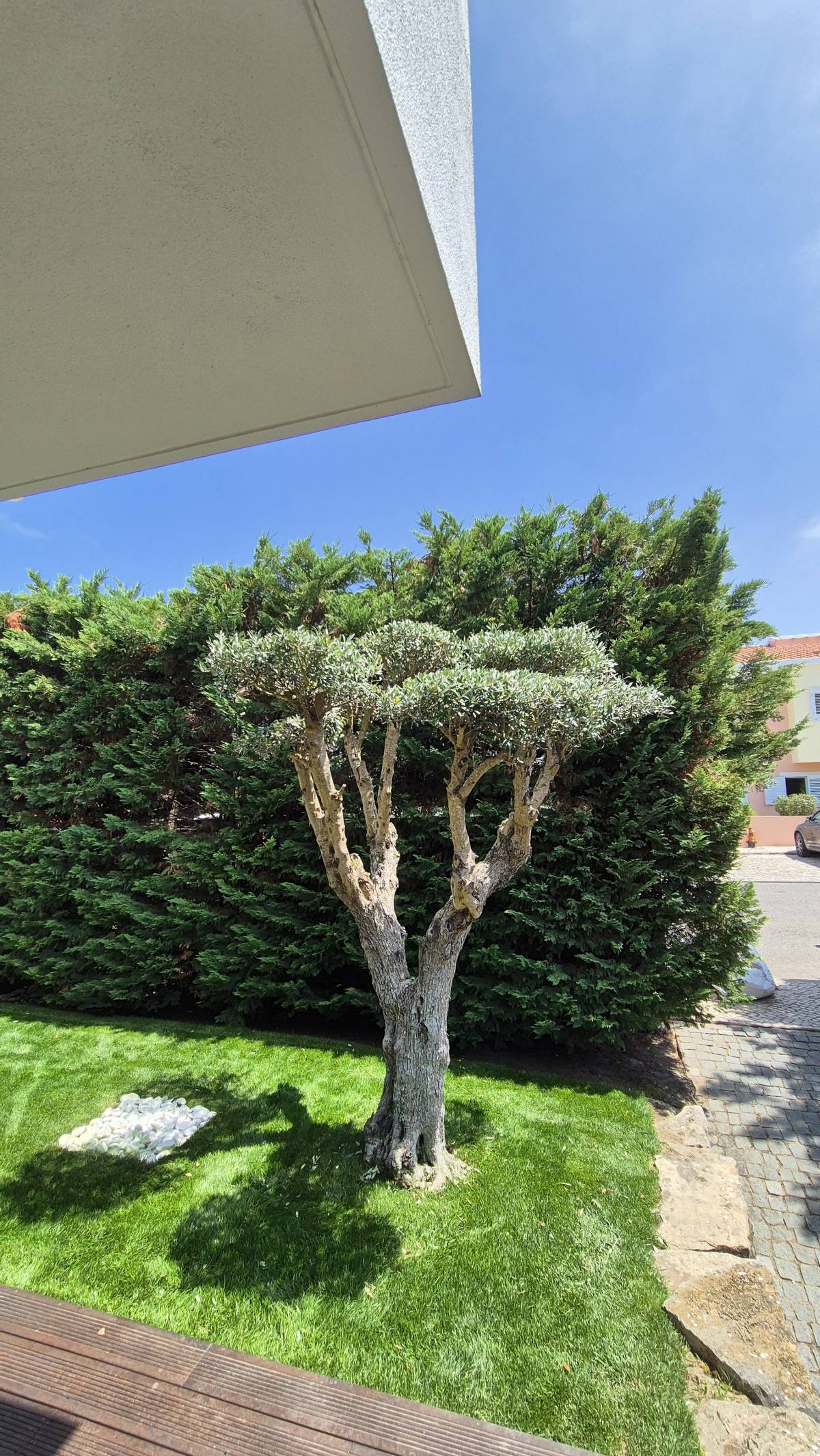JMC Jardins - Oeiras - Aménagement paysager extérieur