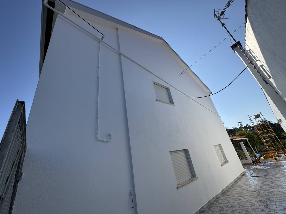 Stiven - Porto de Mós - Baumstumpf oder -wurzel wegfräsen und entfernen