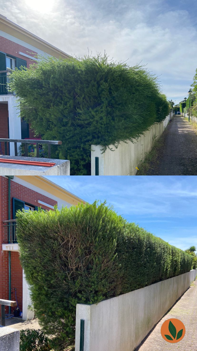 JMC Jardins - Oeiras - Pose de gazon en rouleaux