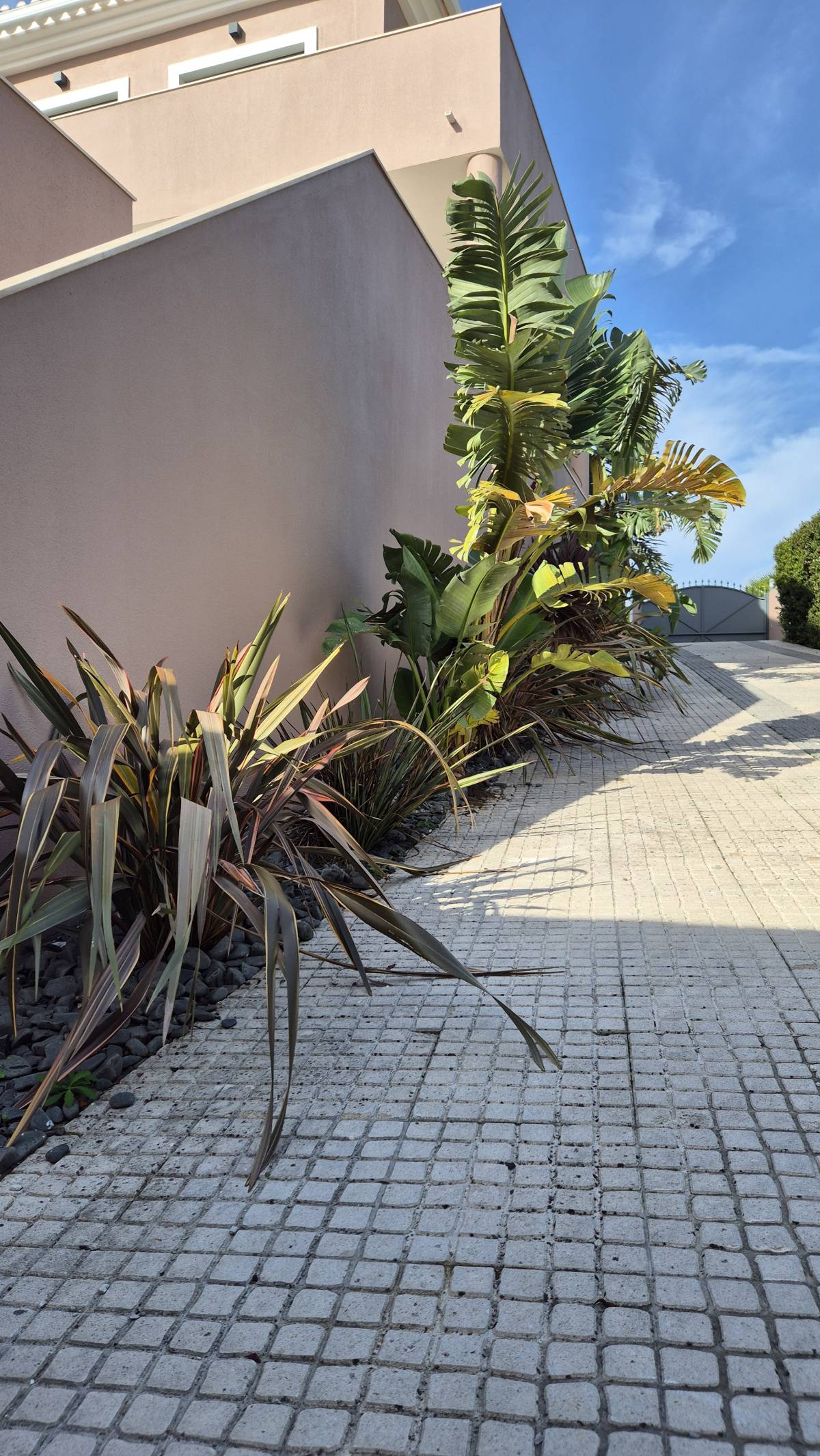 JMC Jardins - Oeiras - Plantation d’arbres