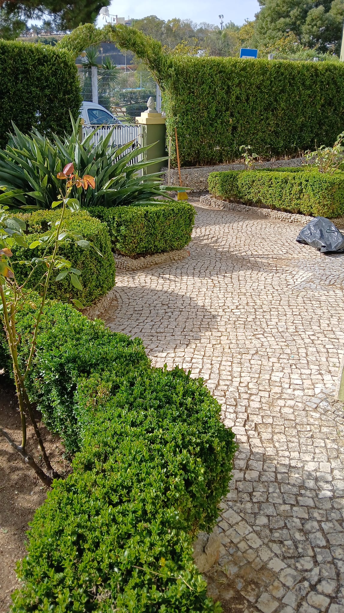L&L jardinagem - Sintra - Enlèvement d'arbustes