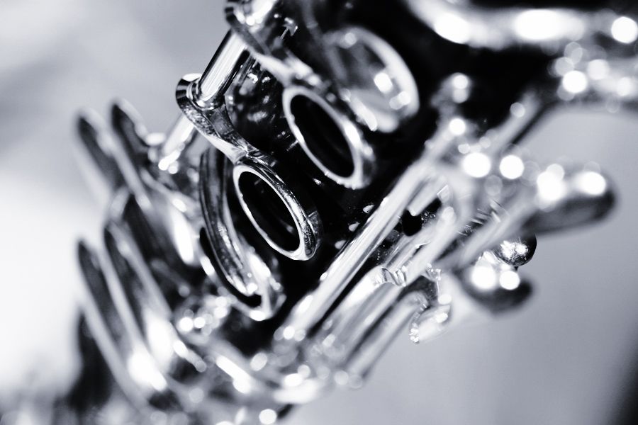 Carlos Silva - Seixal - Clarinet Lessons