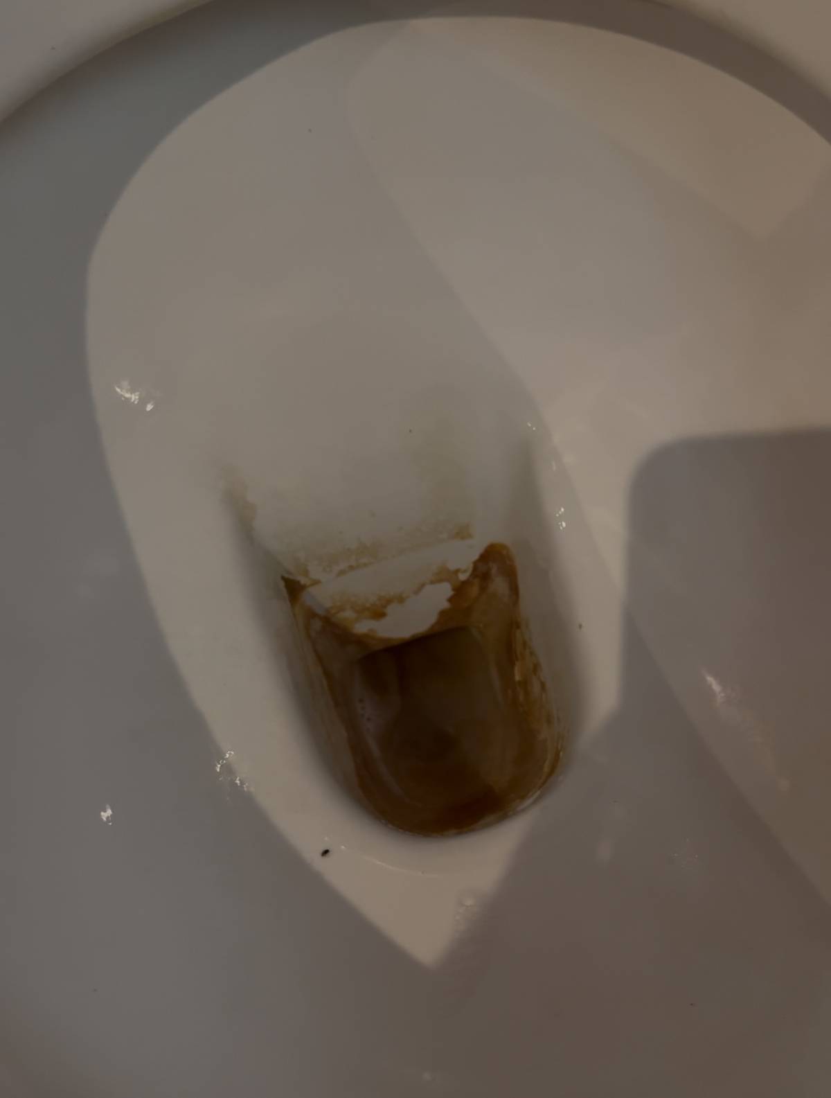 Ivanessa/ Thiago limpezas - Sintra - Limpeza Após Mudanças