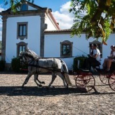 Marta Caeiro - Porto - Sessão Fotográfica