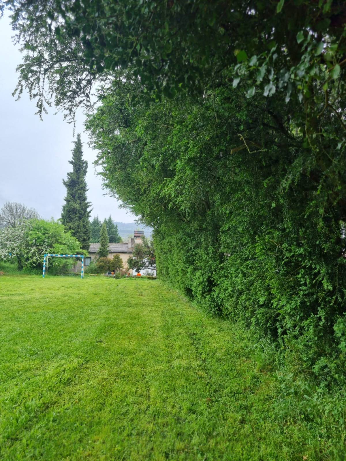 Tree Trimmer
