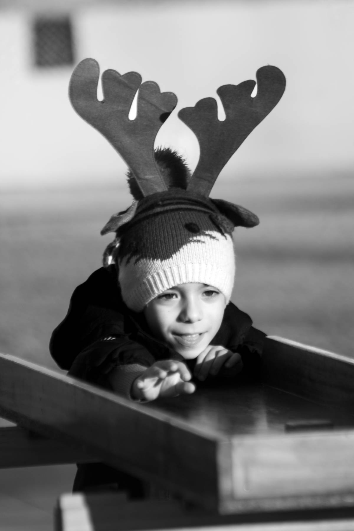 ANDREIA MARIANO - Ovar - Pet Photography