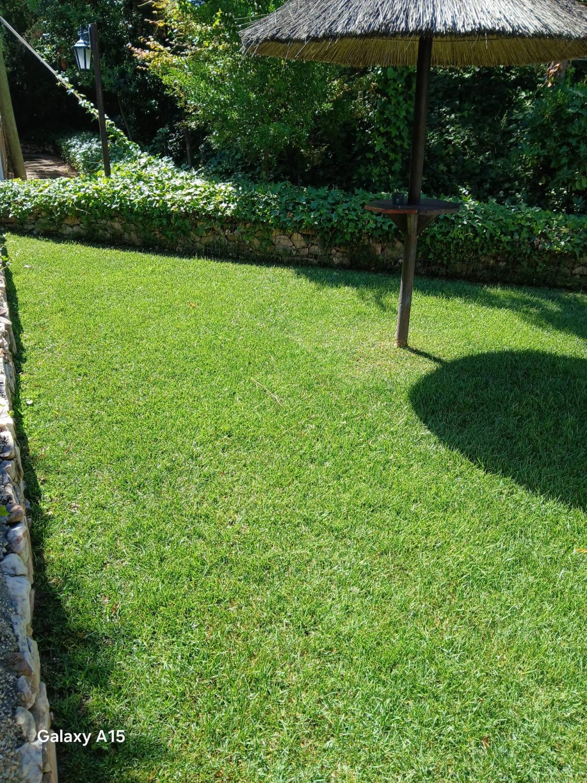 Pomar ( jardinagem e relvas ) - Borba - Gartenarbeit