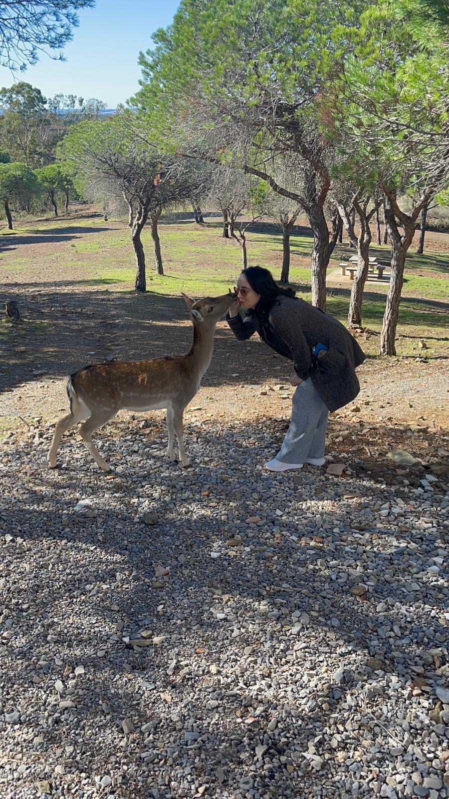 Cerejeira Multiserviços - Vila Real de Santo António - Suporte Administrativo