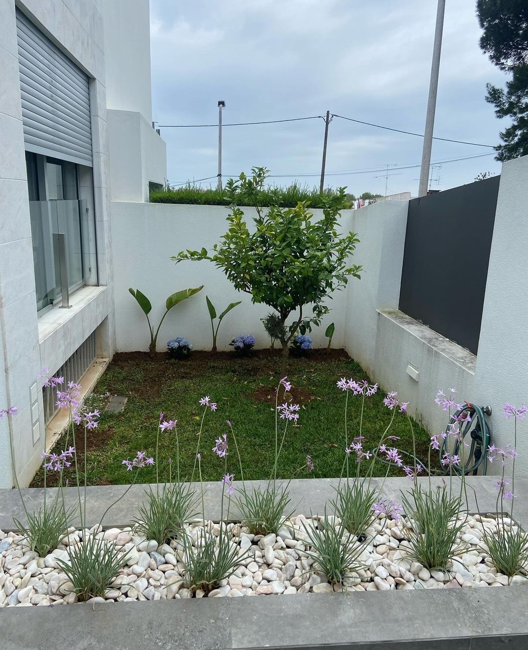 JMC Jardins - Oeiras - Aménagement paysager