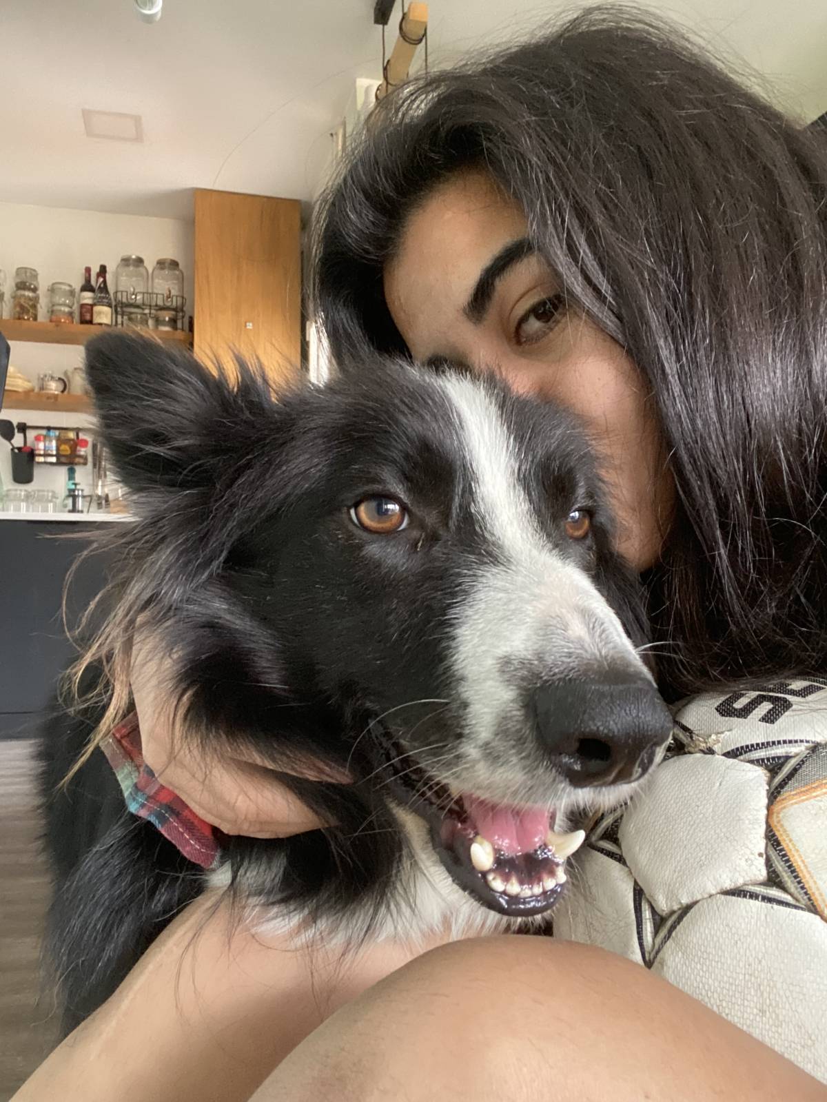 Carlota Cristo - Barcelos - Cuidar tus perros