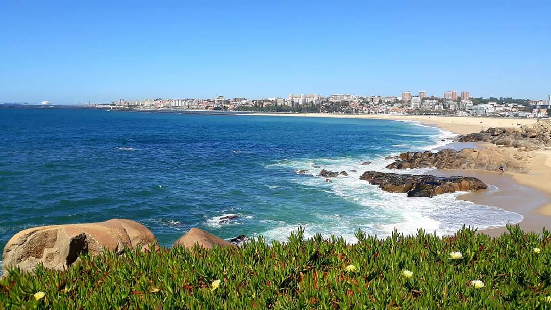 Nessa Costa - Vila Nova de Gaia - Immobilienfotografie