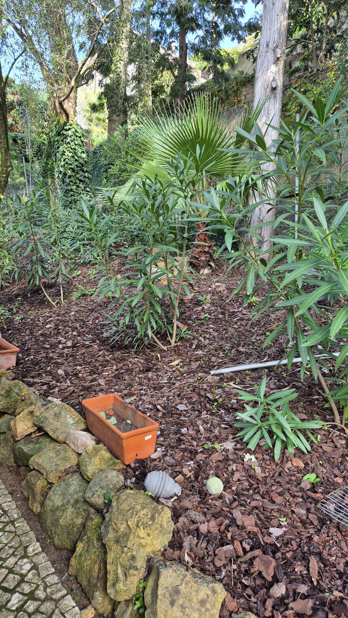 JMC Jardins - Oeiras - Installation de système d'irrigation