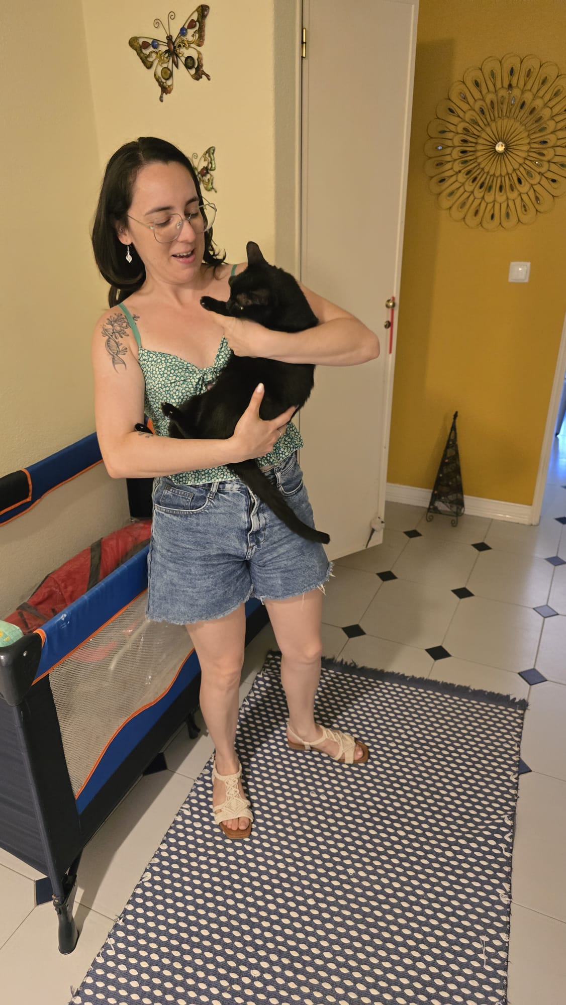 Cerejeira Multiserviços - Vila Real de Santo António - Cat Sitting