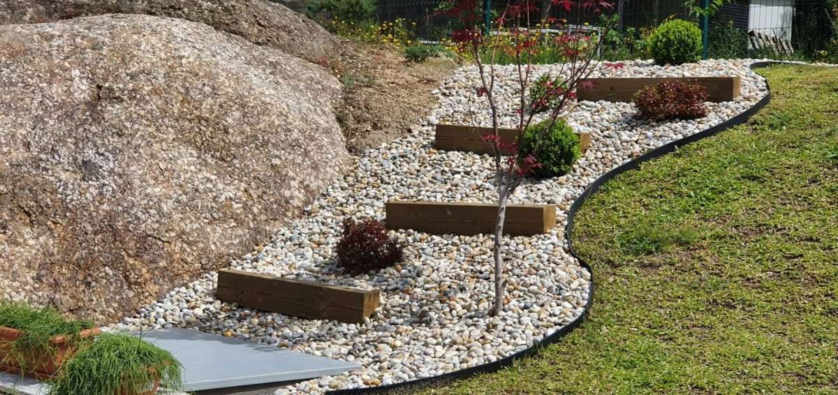 Carlos Martins - Braga - Tree Planting