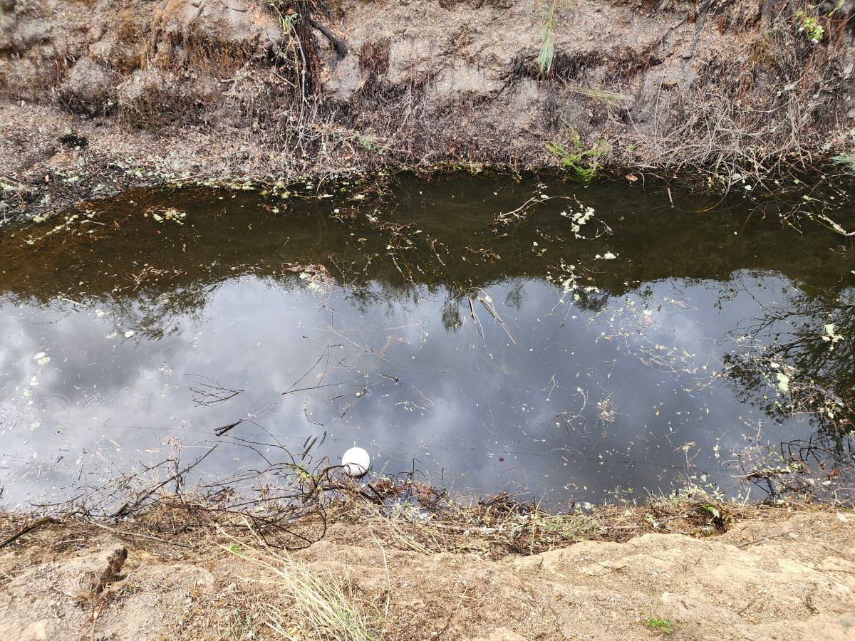 Avrin Jardinagem - Belmonte - Nivellement de terrain grande surface (plus de 1 hectare)