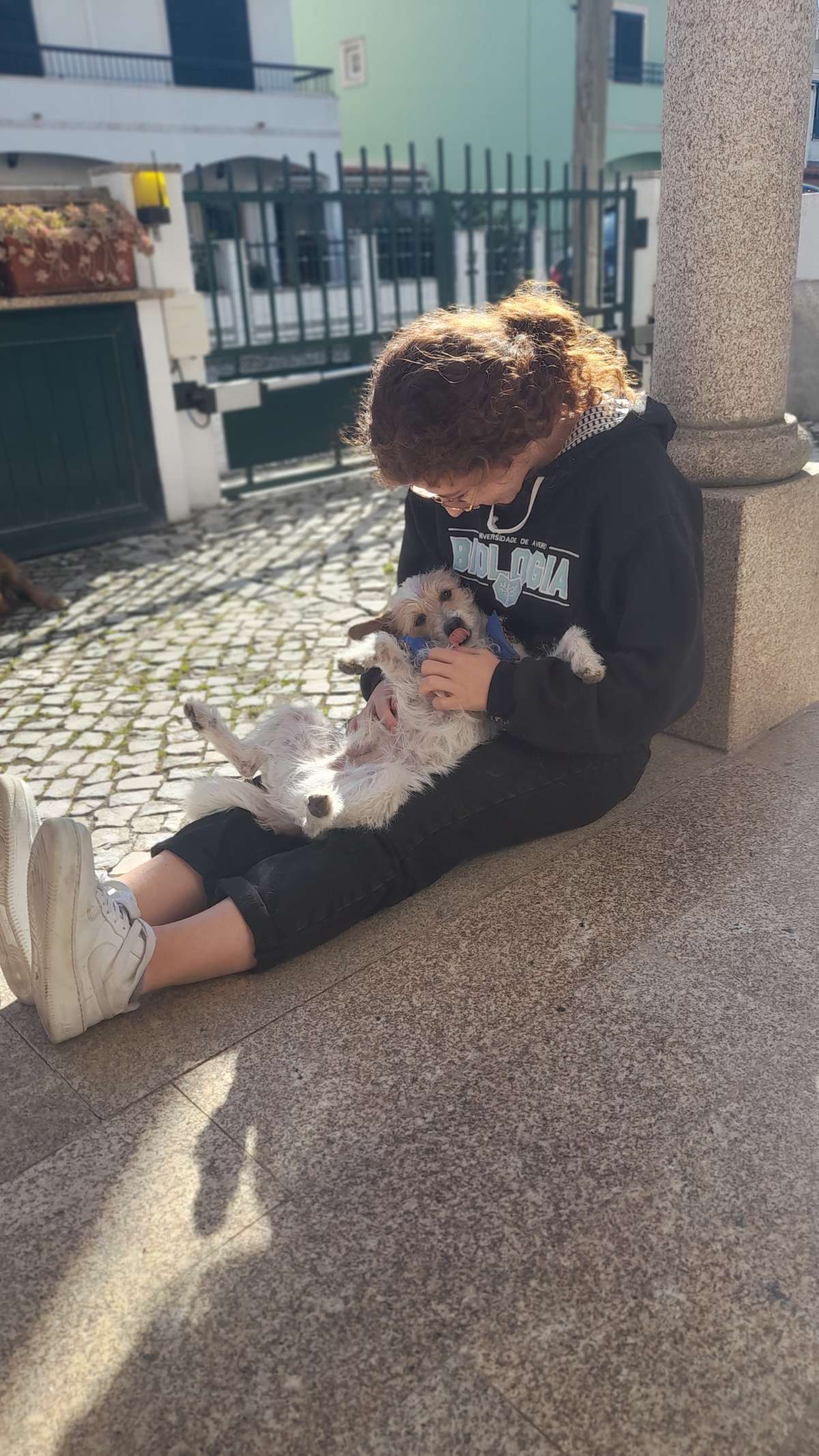 Maria Pereira - Alenquer - Pension pour chiens