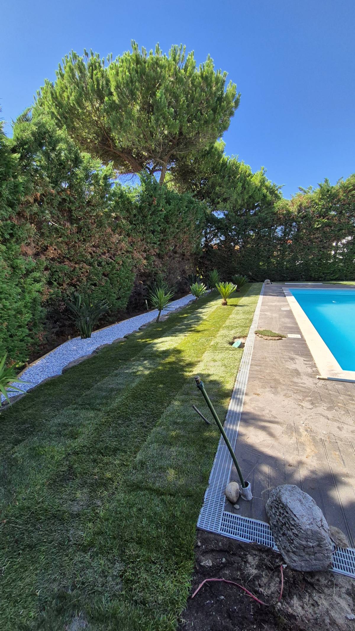 JMC Jardins - Oeiras - Tonte et entretien de pelouse