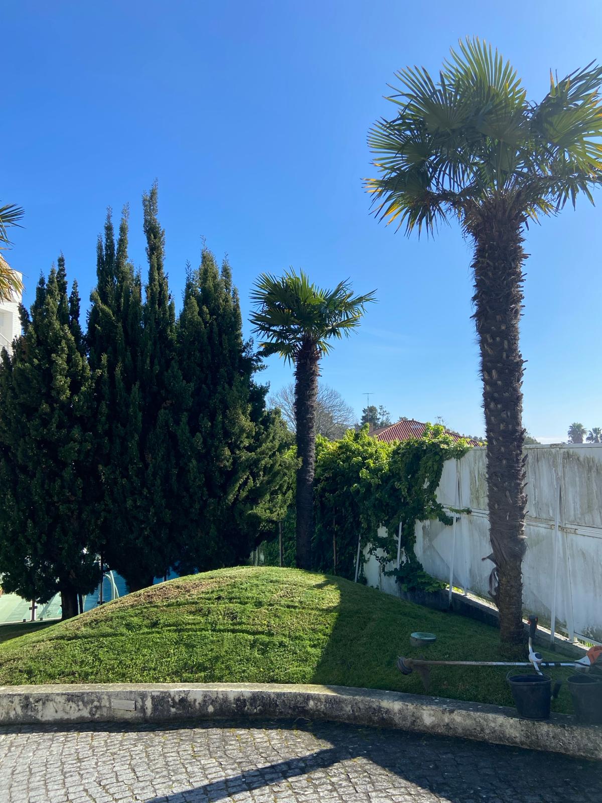 JMC Jardins - Oeiras - Entretien de système d’irrigation goutte à goutte