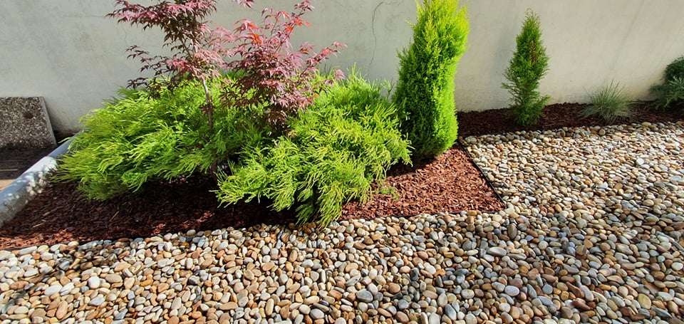Carlos Martins - Braga - Shrub Removal