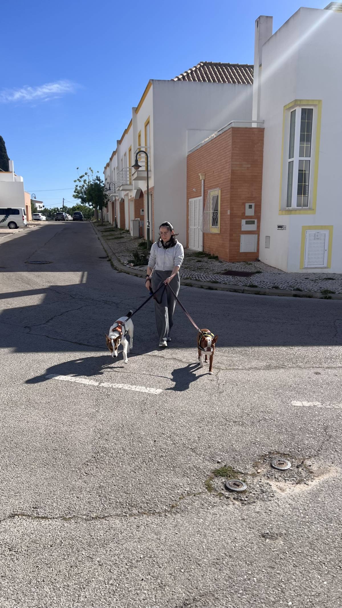Cerejeira Multiserviços - Vila Real de Santo António - Dog Walking