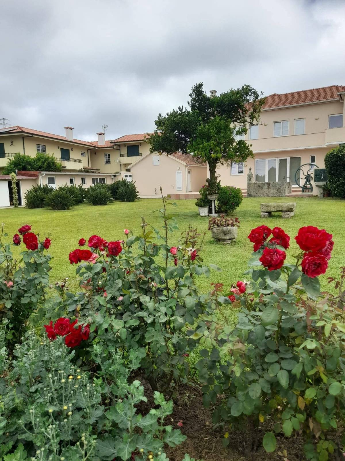 Avrin Jardinagem - Belmonte - Services à domicile
