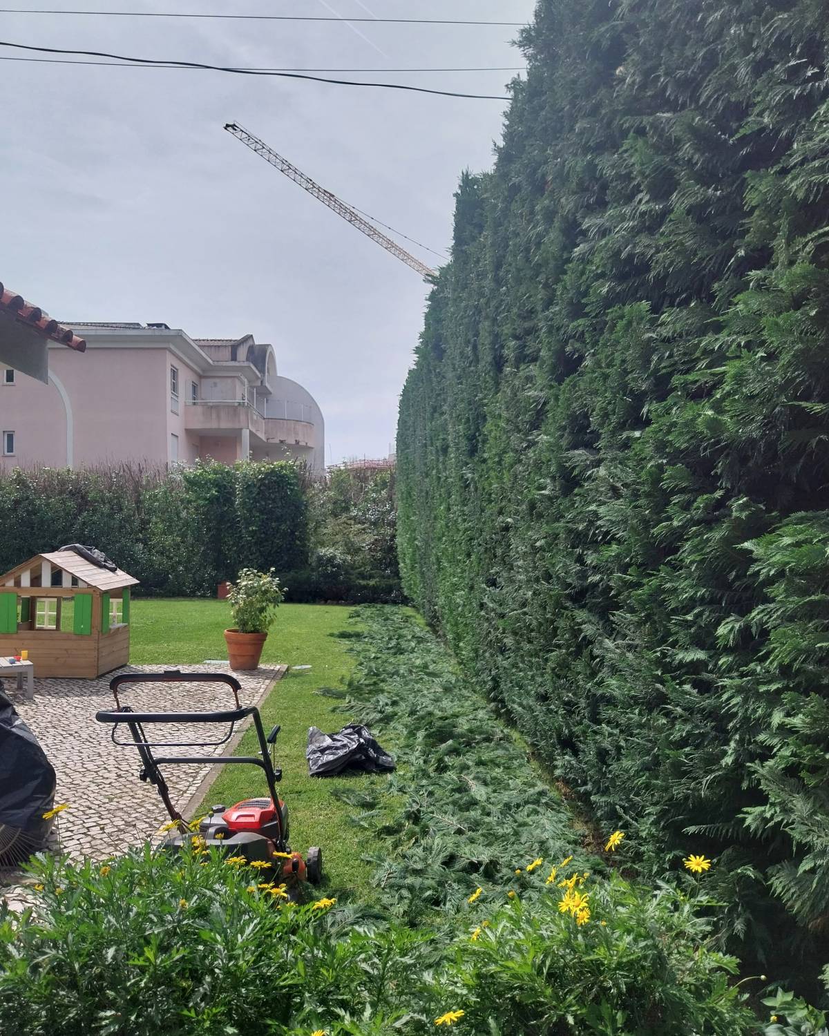 JMC Jardins - Oeiras - Plantation d’arbres