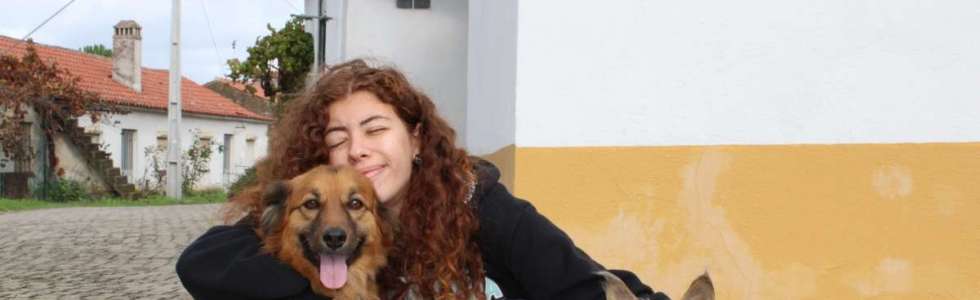 Maria Pereira - Alenquer - Promenade de chiens