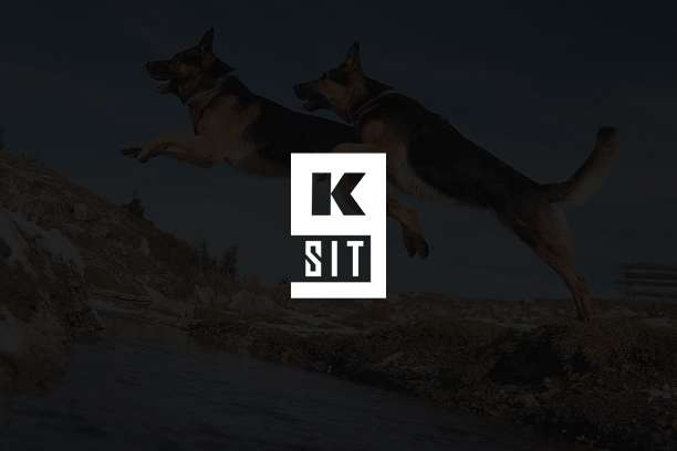 SITK9 - Bombarral - Dog Walking