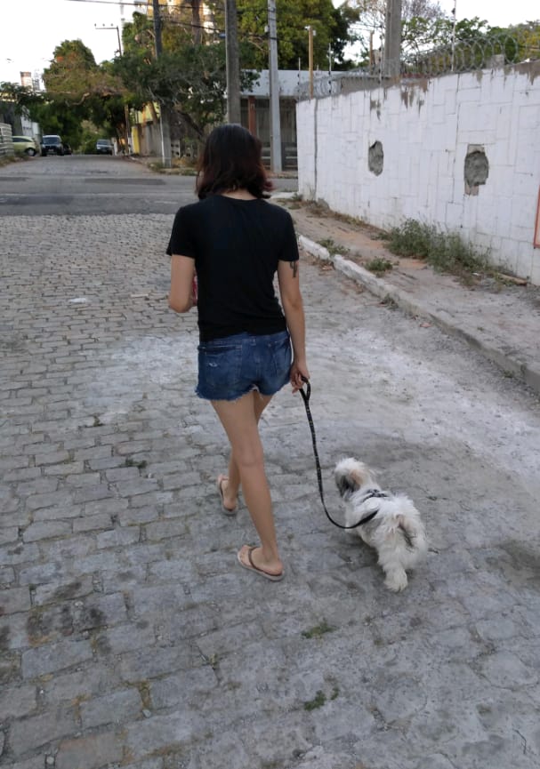 Cerejeira Multiserviços - Vila Real de Santo António - Dog Sitting
