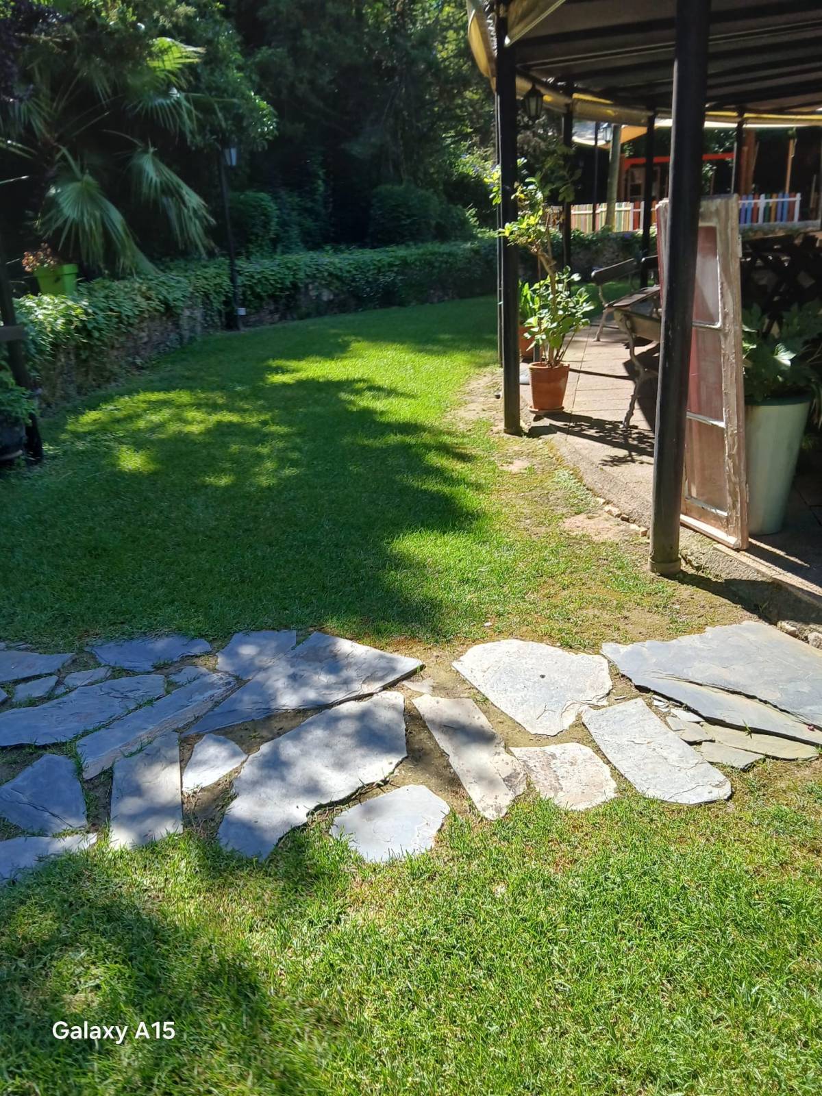 Pomar ( jardinagem e relvas ) - Borba - Gartenarbeiten