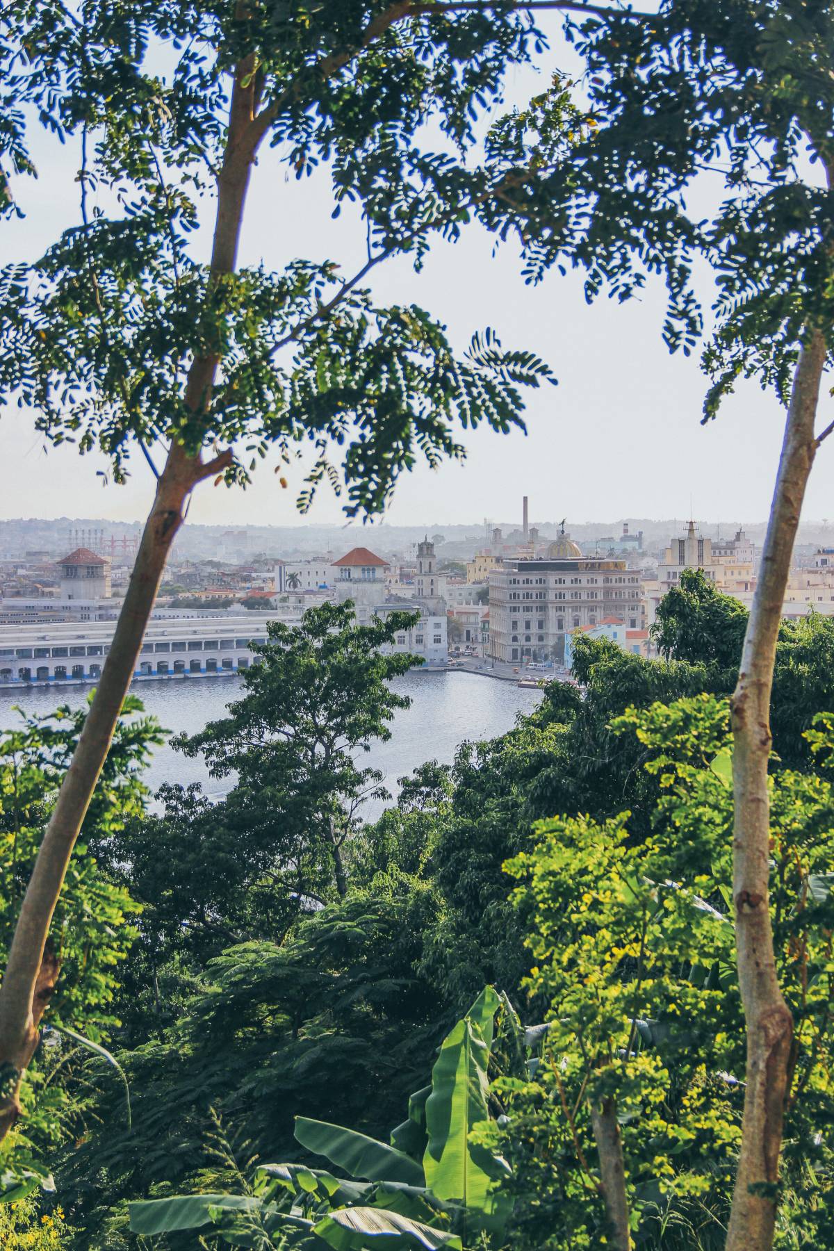 Fi.Arte - Lisboa - Familienportrait