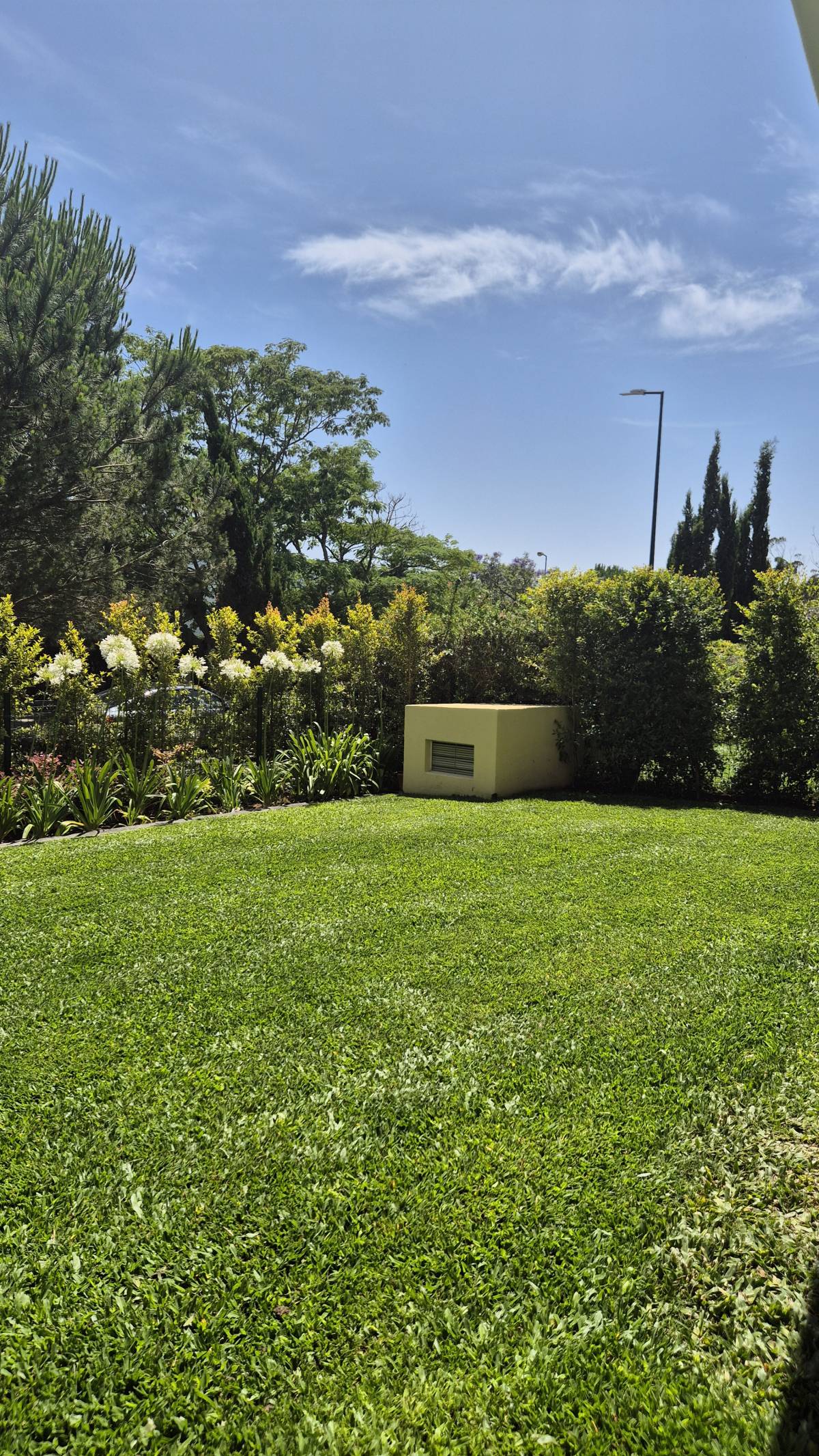 JMC Jardins - Oeiras - Enlèvement de souches d’arbres
