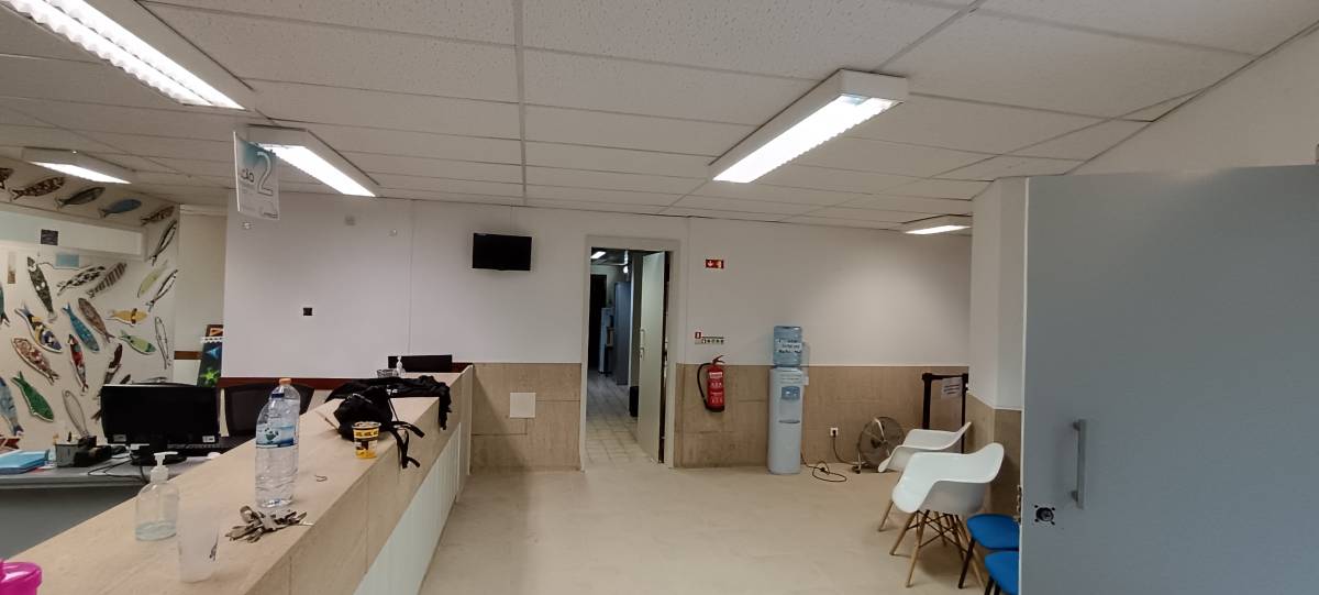 Mauro Martins - Loures - Remodelação de Sótão