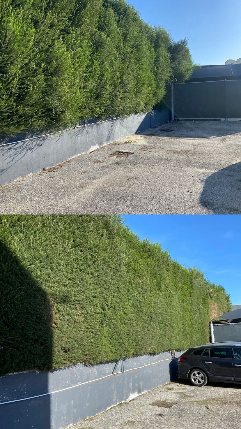 JMC Jardins - Oeiras - Aménagement paysager extérieur