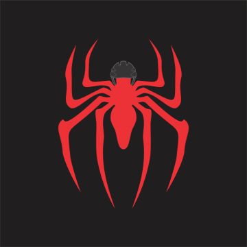 Spider - Lisboa - Design de UI